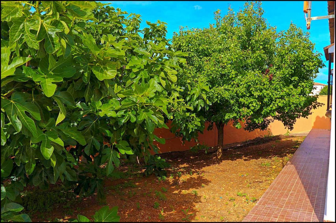 Chalet Rustico Roche كونيل ذي لا فرونتيرا المظهر الخارجي الصورة